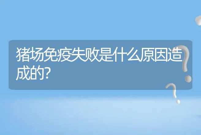 猪场免疫失败是什么原因造成的？ | 兽医知识大全