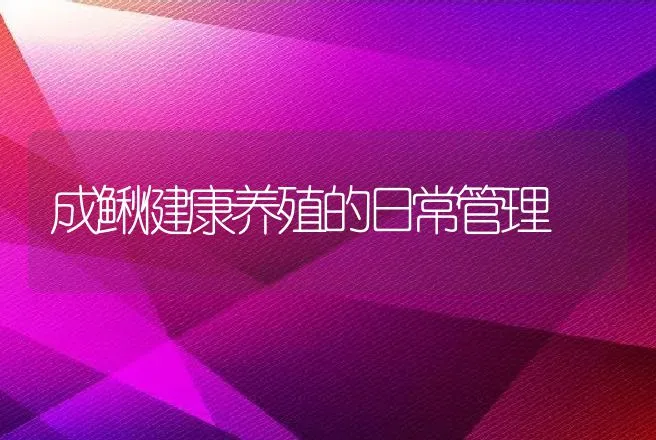 成鳅健康养殖的日常管理 | 动物养殖