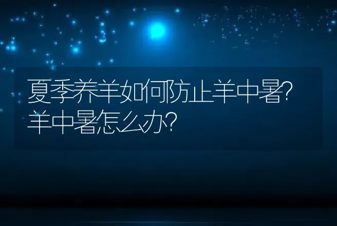 夏季养羊如何防止羊中暑？羊中暑怎么办？ | 家畜养殖