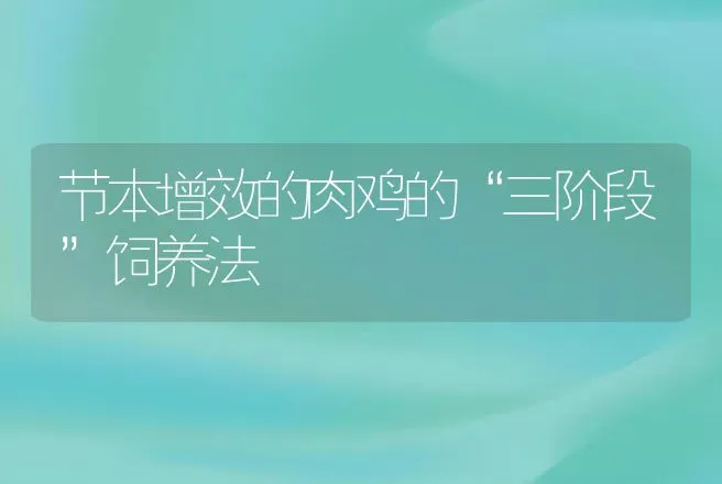 节本增效的肉鸡的“三阶段”饲养法 | 动物养殖