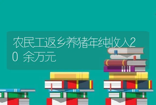 农民工返乡养猪年纯收入20余万元 | 养殖致富