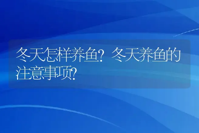 冬天怎样养鱼？冬天养鱼的注意事项？ | 水产知识