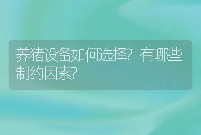 养猪设备如何选择?有哪些制约因素? | 动物养殖