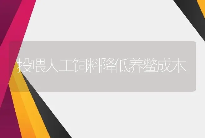 投喂人工饲料降低养鳖成本 | 动物养殖