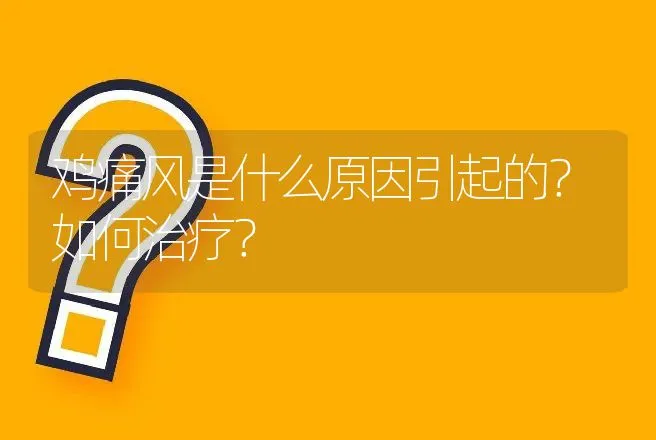 鸡痛风是什么原因引起的？如何治疗？ | 兽医知识大全