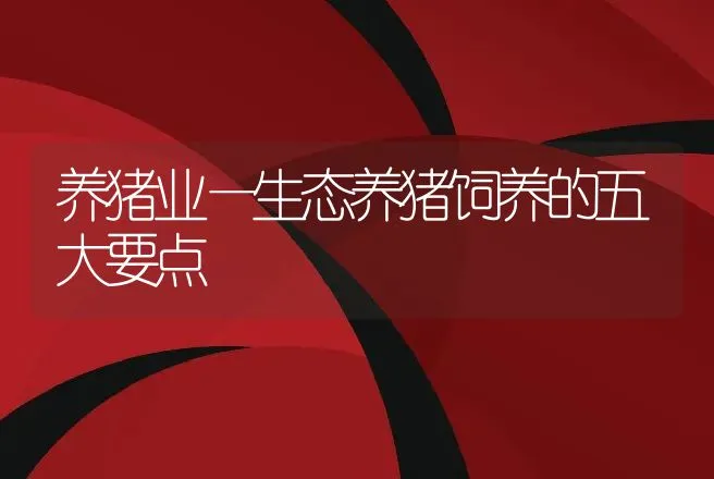 养猪业—生态养猪饲养的五大要点 | 家畜养殖