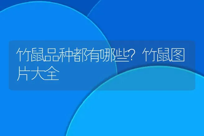 兔大肠杆菌病症状有哪些？ | 兽医知识大全