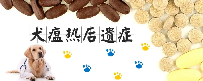 犬瘟热后遗症有哪些 | 宠物病虫害防治