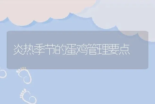炎热季节的蛋鸡管理要点 | 动物养殖