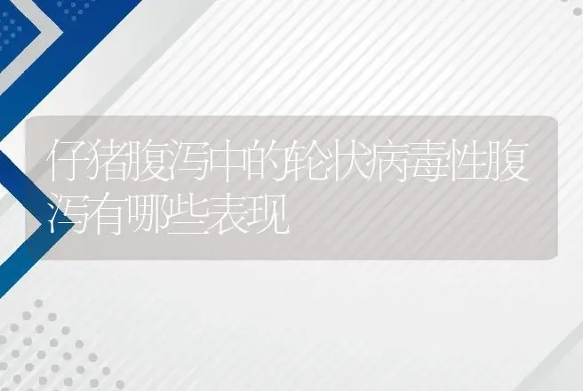 仔猪腹泻中的轮状病毒性腹泻有哪些表现 | 兽医知识大全