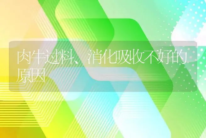 肉牛过料、消化吸收不好的原因 | 家畜养殖