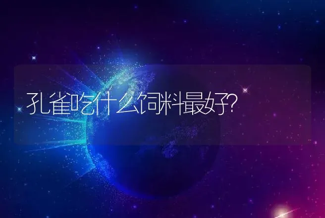 孔雀吃什么饲料最好？ | 特种养殖