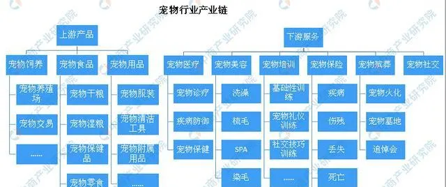 宠物行业发展前景光明 人口老龄化推动宠物行业发展 | 宠物新闻资讯