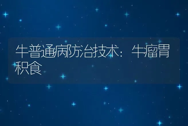 牛普通病防治技术：牛瘤胃积食 | 动物养殖