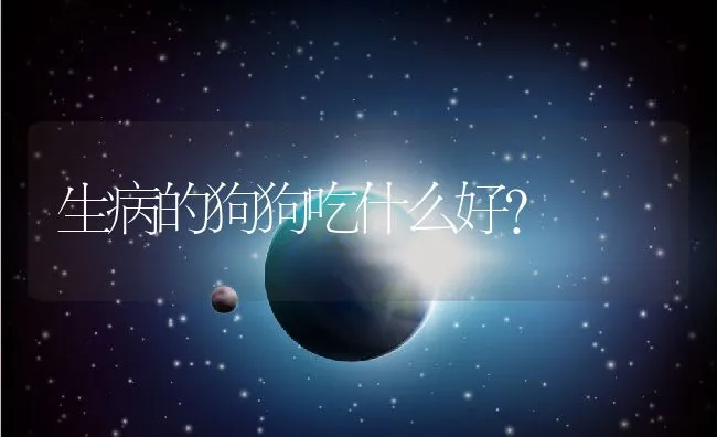 生病的狗狗吃什么好？ | 宠物猫