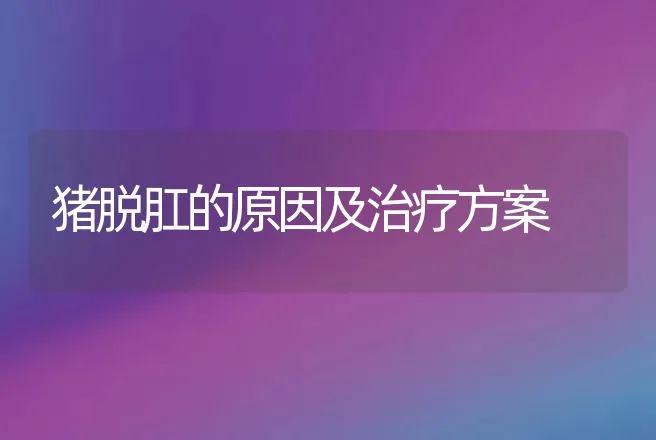 猪脱肛的原因及治疗方案 | 兽医知识大全