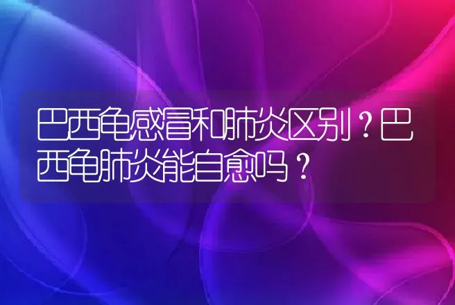 巴西龟感冒和肺炎区别？巴西龟肺炎能自愈吗？ | 兽医知识大全