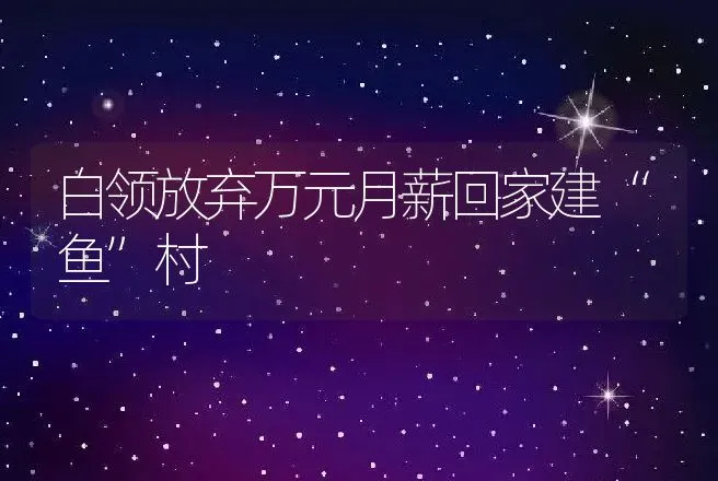 白领放弃万元月薪回家建“鱼”村 | 水产知识