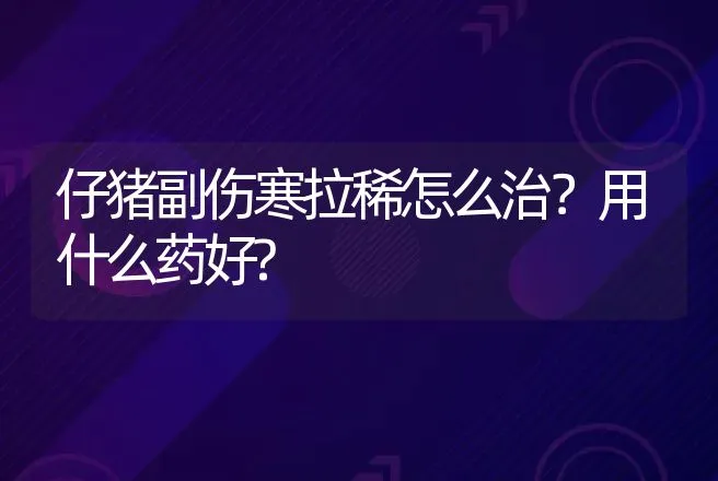 仔猪副伤寒拉稀怎么治？用什么药好? | 兽医知识大全