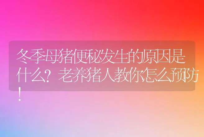 冬季母猪便秘发生的原因是什么？老养猪人教你怎么预防！ | 兽医知识大全