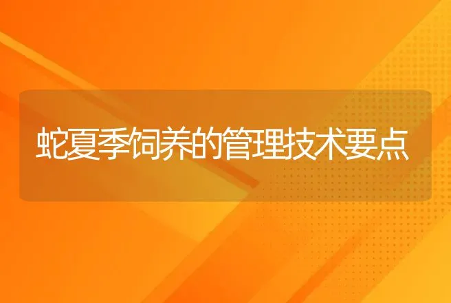 蛇夏季饲养的管理技术要点 | 动物养殖