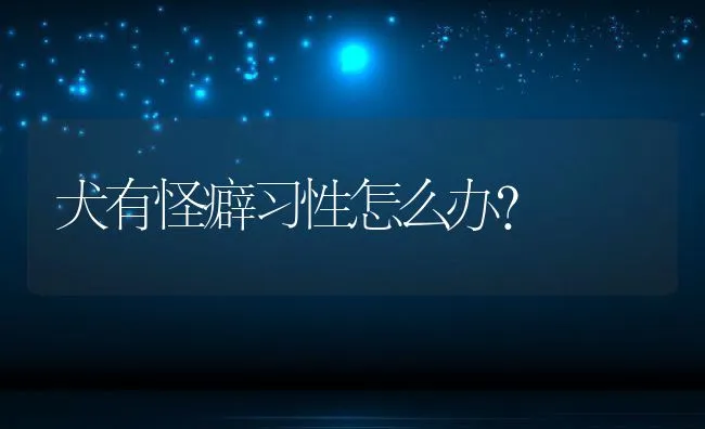 犬有怪癖习性怎么办? | 宠物病虫害