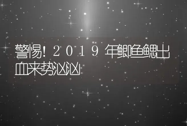 警惕！2019年鲫鱼鳃出血来势汹汹 | 兽医知识大全