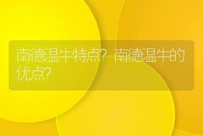 南德温牛特点？南德温牛的优点？ | 家畜养殖