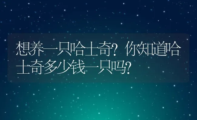 想养一只哈士奇？你知道哈士奇多少钱一只吗？ | 宠物喂养