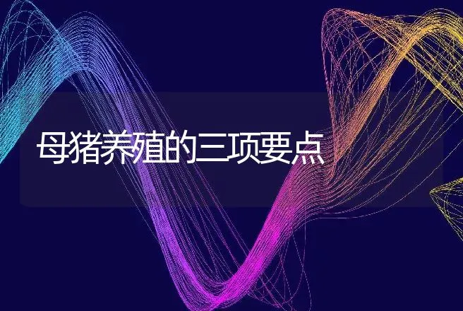 母猪养殖的三项要点 | 动物养殖