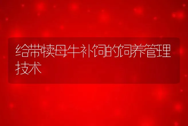 给带犊母牛补饲的饲养管理技术 | 家畜养殖