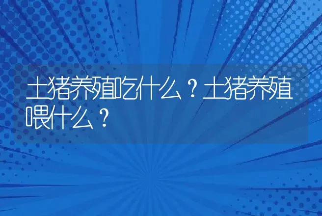 土猪养殖吃什么？土猪养殖喂什么？ | 动物养殖