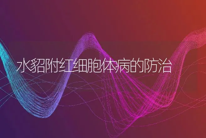 水貂附红细胞体病的防治 | 动物养殖