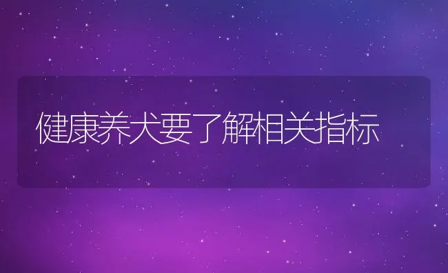 健康养犬要了解相关指标 | 宠物病虫害