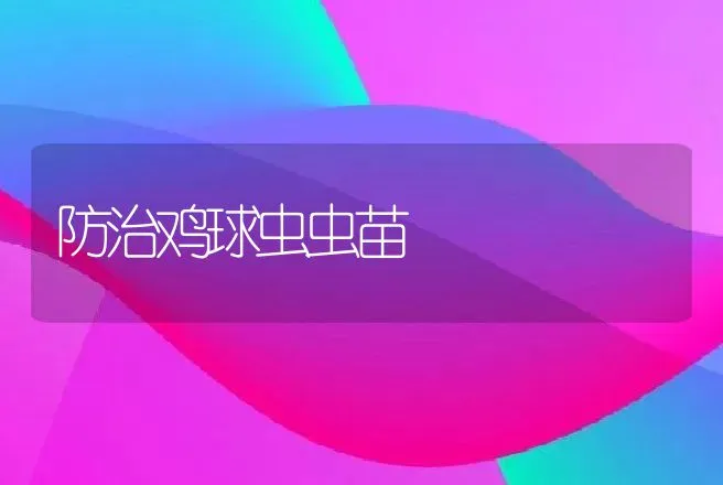 防治鸡球虫虫苗 | 动物养殖