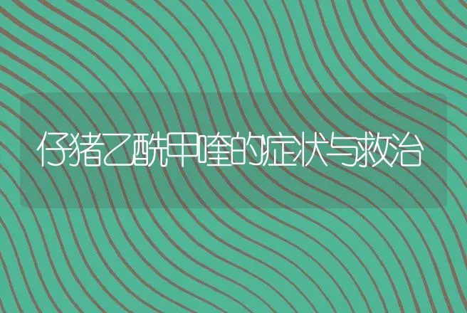 仔猪乙酰甲喹的症状与救治 | 动物养殖