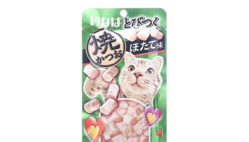 猫的零食喂食时要注意什么？ | 宠物百科知识