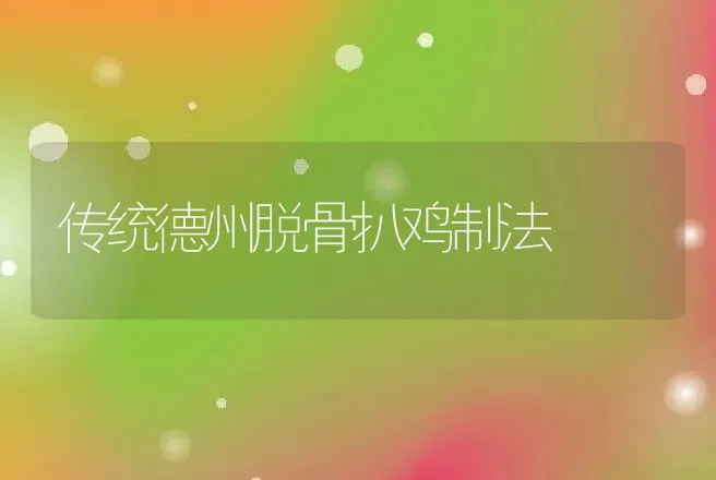 传统德州脱骨扒鸡制法 | 动物养殖