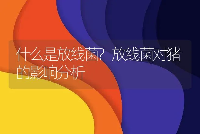 什么是放线菌?放线菌对猪的影响分析 | 兽医知识大全