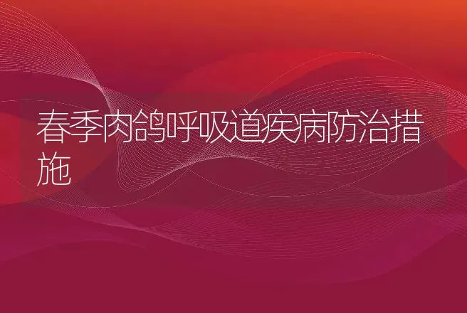 春季肉鸽呼吸道疾病防治措施 | 家禽养殖