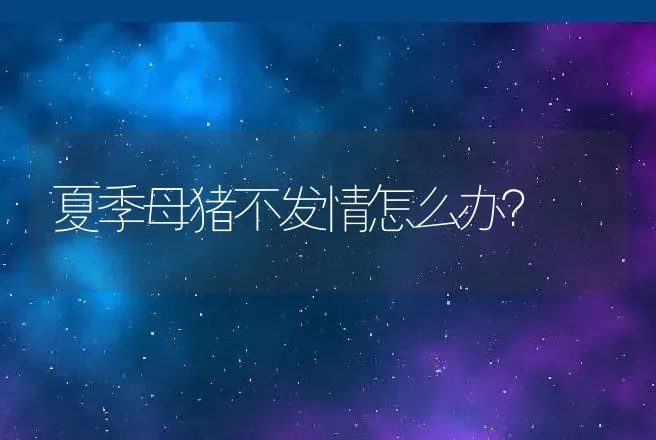 夏季母猪不发情怎么办？ | 兽医知识大全