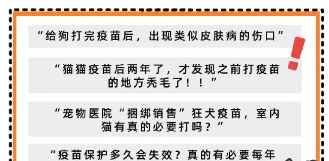 关于犬猫注射疫苗的重要知识 | 宠物狗病虫害防治