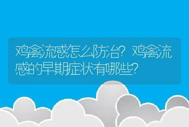 鸡禽流感怎么防治？鸡禽流感的早期症状有哪些？ | 兽医知识大全