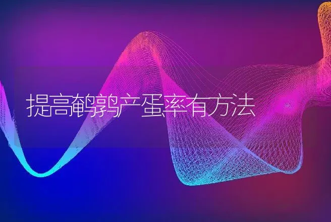 提高鹌鹑产蛋率有方法 | 特种养殖