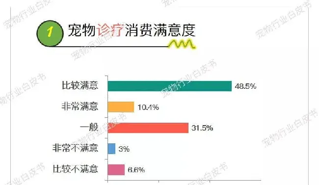 宠物服务5大领域的消费痛点都有哪些？ | 宠物行业洞察