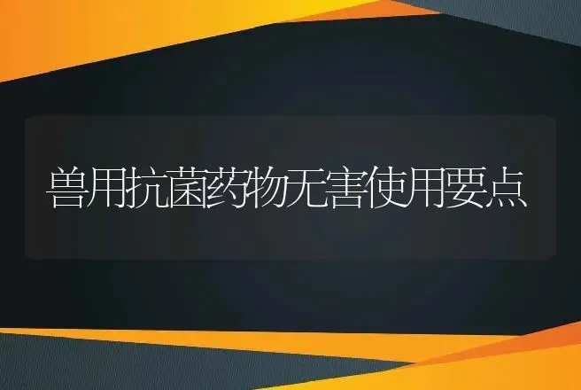 兽用抗菌药物无害使用要点 | 兽医知识大全