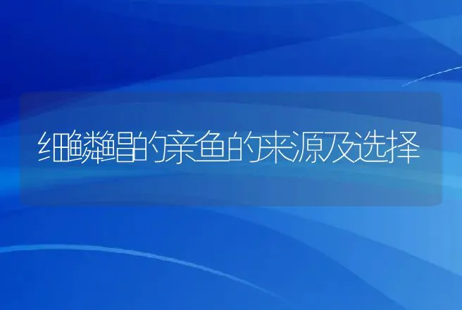 细鳞鲳的亲鱼的来源及选择 | 动物养殖