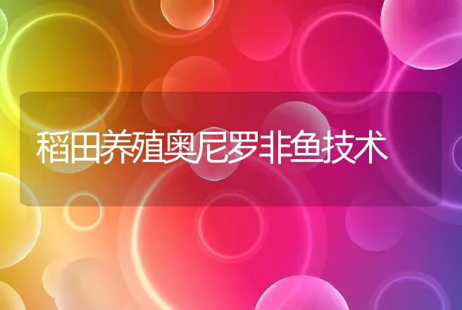 稻田养殖奥尼罗非鱼技术 | 动物养殖