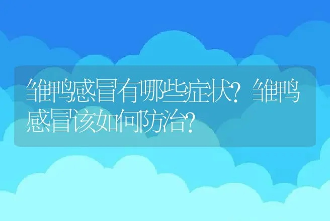 雏鸭感冒有哪些症状？雏鸭感冒该如何防治？ | 兽医知识大全