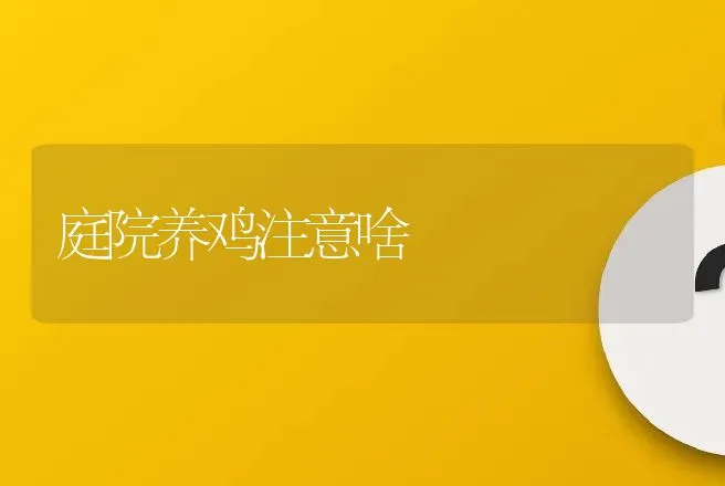 庭院养鸡注意啥 | 动物养殖